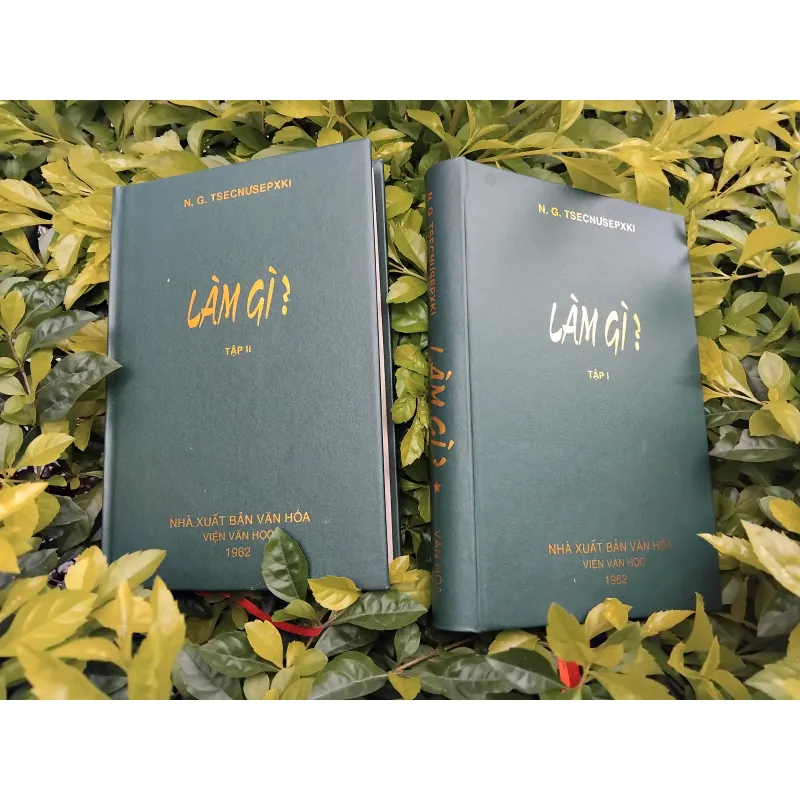 Làm gì ? Của Tsecnusepski 936564