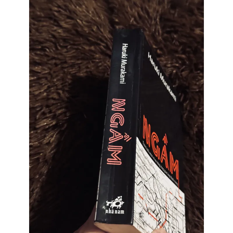 Combo 5c Haruki Murakami (đọc mô tả) 759347