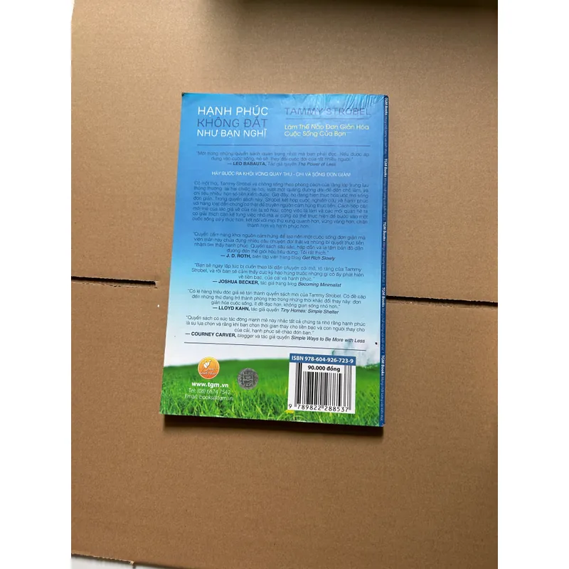 Hạnh phúc không đắt như bạn nghĩ - Tammy Strobel 740473