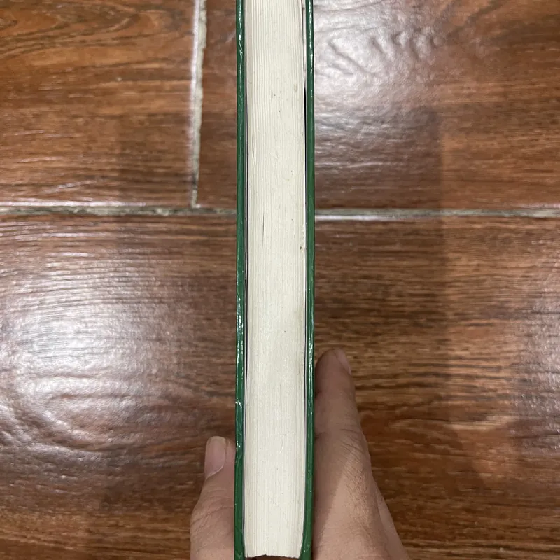 Búp sen xanh - Sơn Tùng (6) 719212