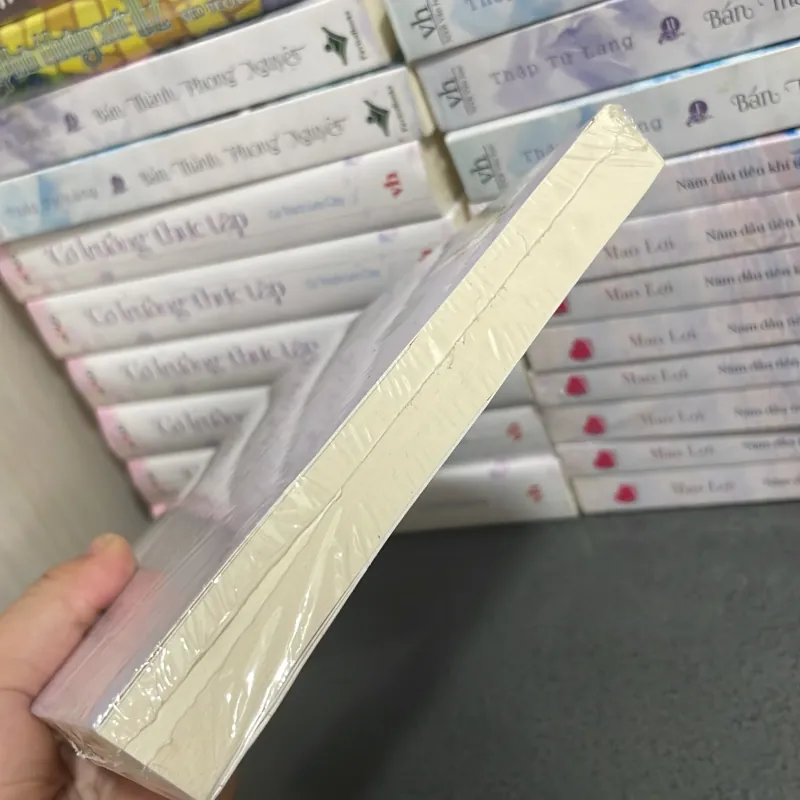 (tiểu thuyết) - Viên đá tha thứ - Lori Nelson Spielman 997367