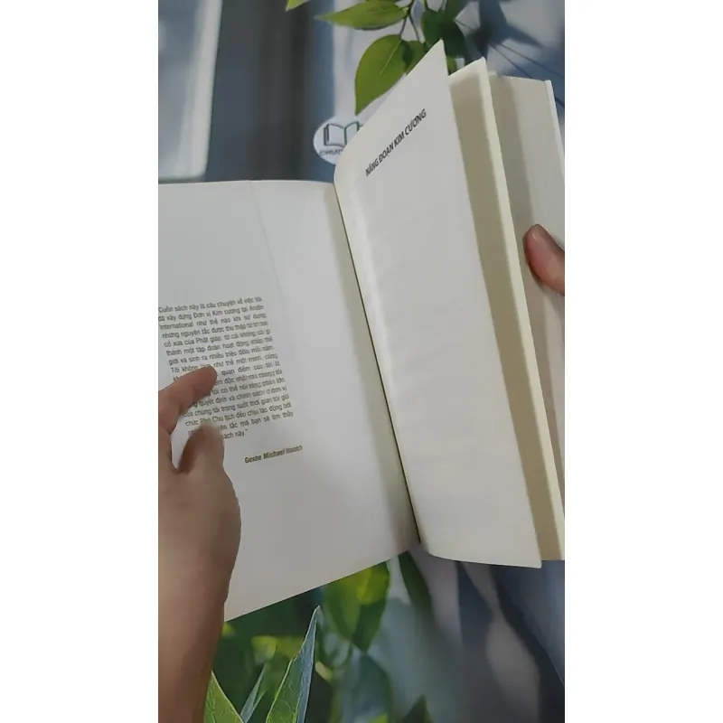 Năng Đoạn Kim Cương - Geshe Michael Roach 961153