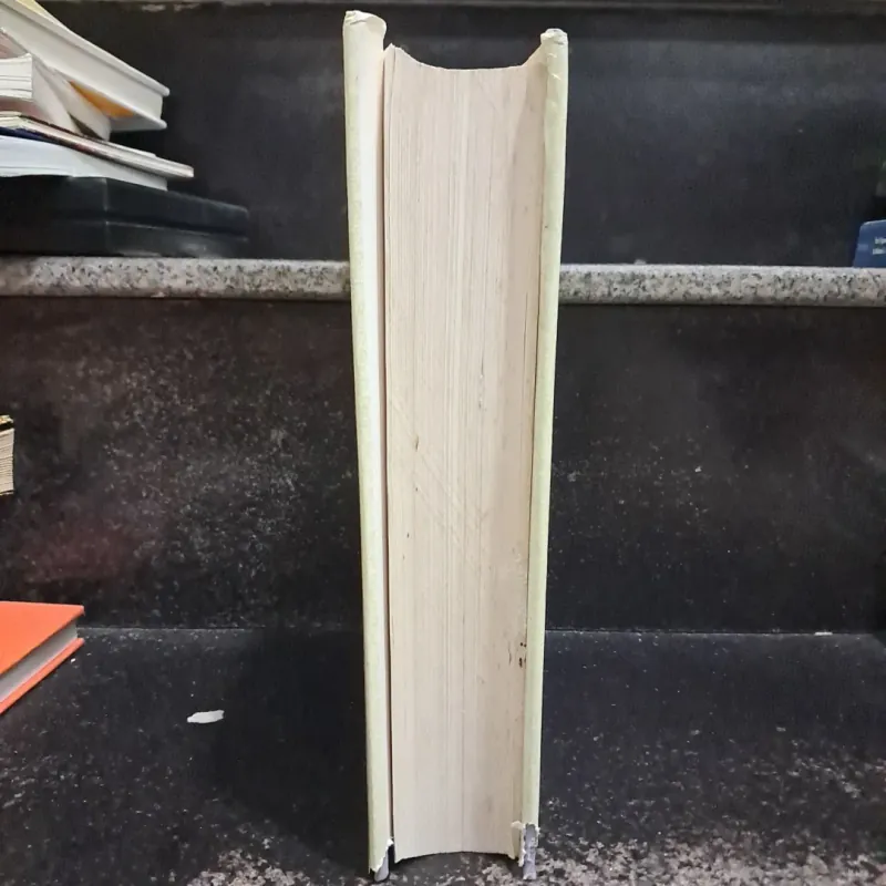 Từ điẻn Tiếng Việt 1009249