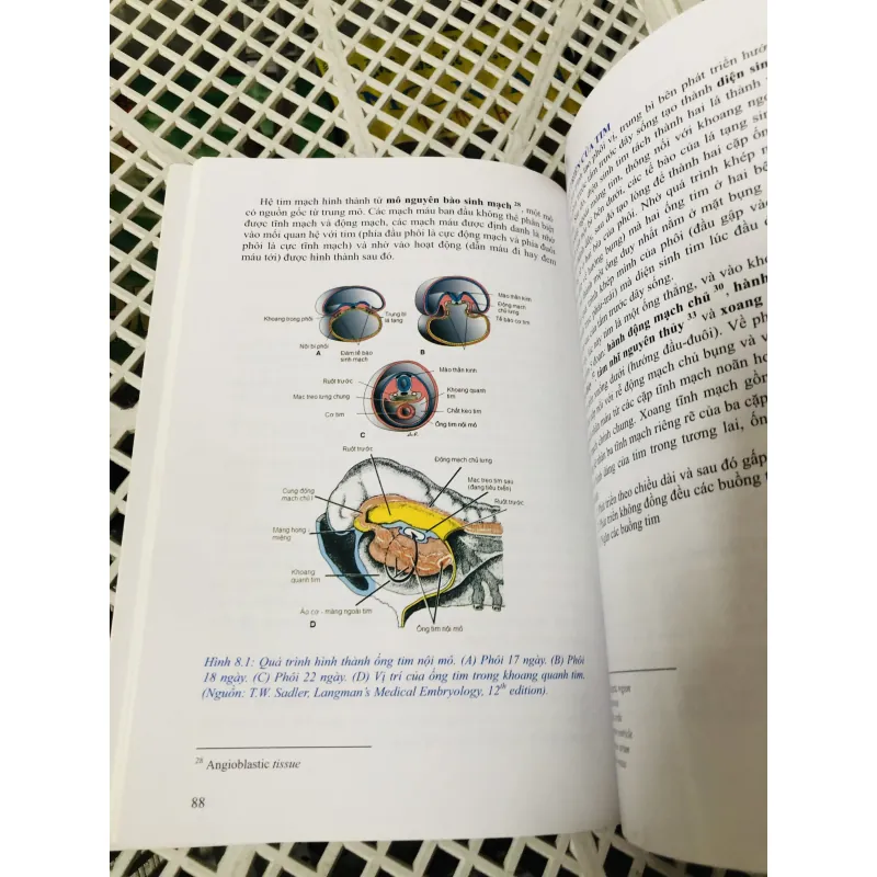 PHÔI THAI HỌC 799117