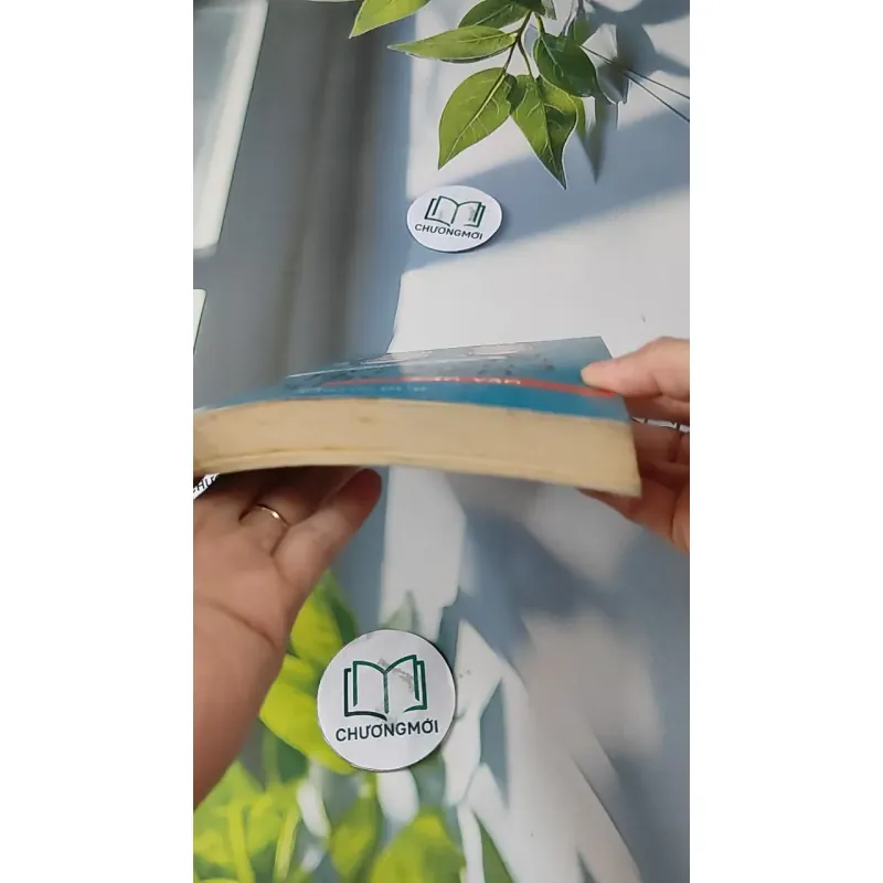 Vì Cuộc Đời Là Những Chuyến Đi - Hiên Bonnin Trần 727248