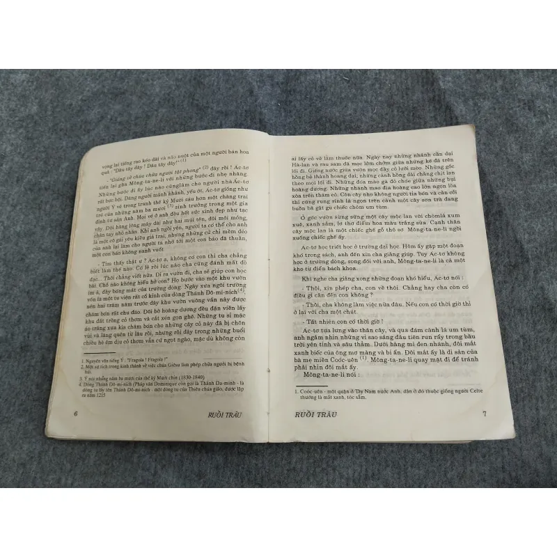 RUỒI TRÂU - ETELLE LILIAN VOYNICH 574651
