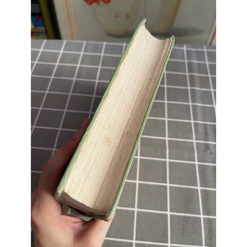 Những cuộc phiêu luu của tôm xoyơ và Hắc Phin 405831