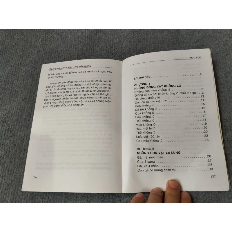 NHỮNG ĐỘNG VẬT KỲ LẠ 719837