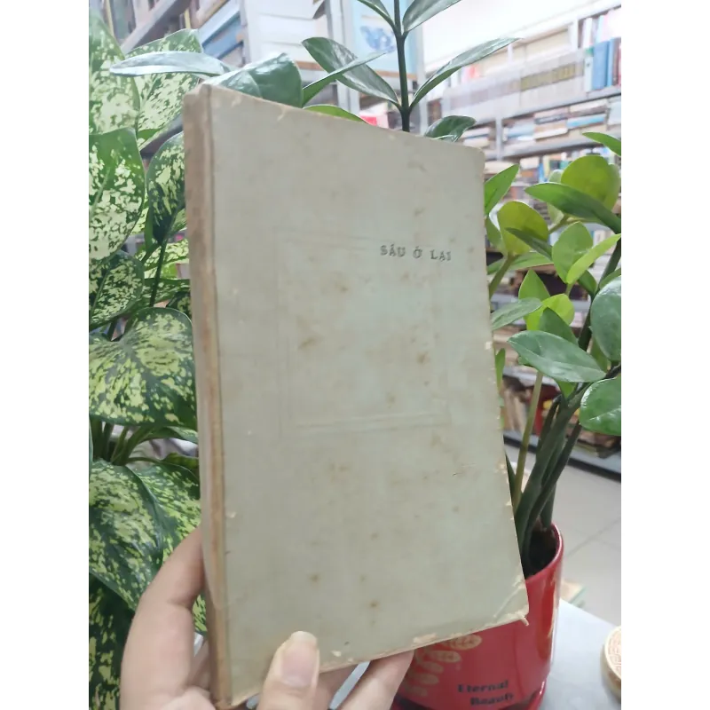 SẦU Ở LẠI. 561633