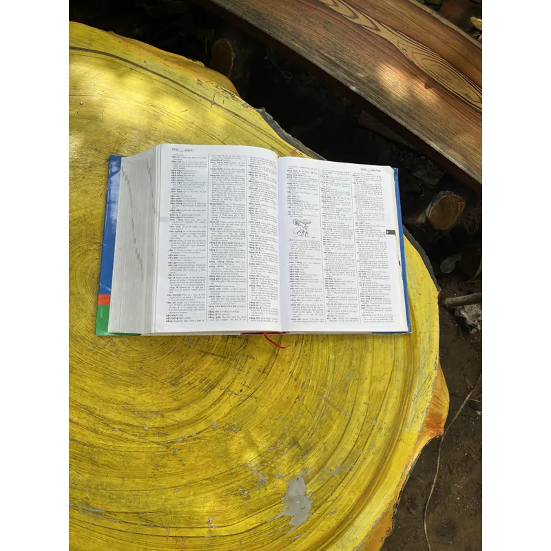 TỪ ĐIỂN ANH - ANH- VIỆT& VIỆT - ANH- KHOA HỌC XÃ HỘI VÀ NHÂN VĂN VIỆN NGÔN NGỮ HỌC 603666