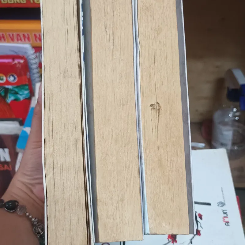 Công Tử Vô Sỉ Trọn Bộ 3 Tập- Duy Hòa Tống Tử 576033