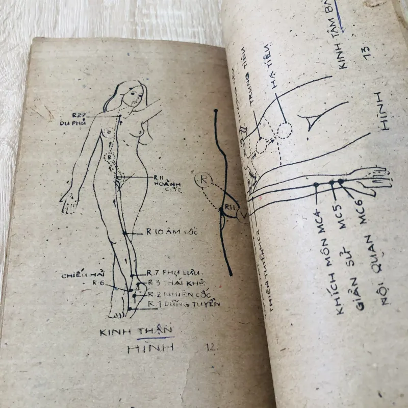 CHÂM CỨU CHỮA BỆNH ( Bs Nguyễn Tài Thu) 974776