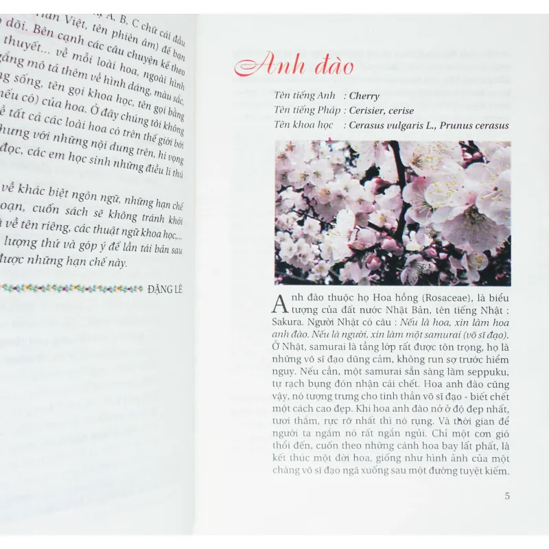 Truyện kể về các loài hoa 396532