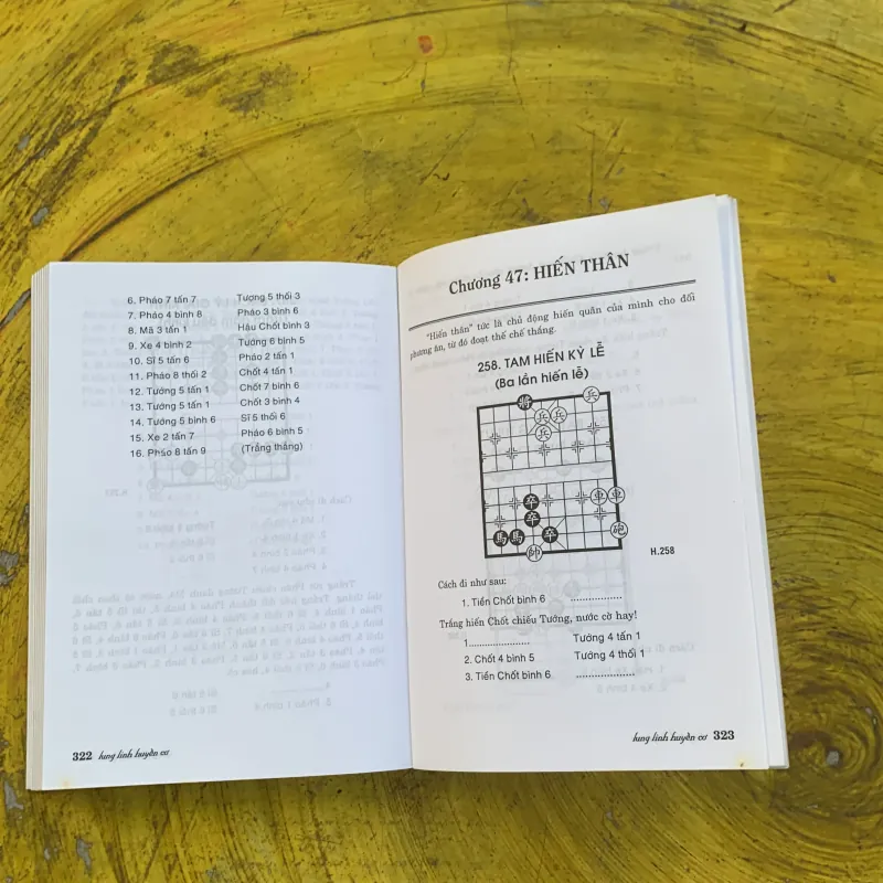 CỜ TƯỚNG BÍ CUỘC GIANG HỒ LUNG LINH HUYỀN CƠ - biên dịch Công Sĩ 791144