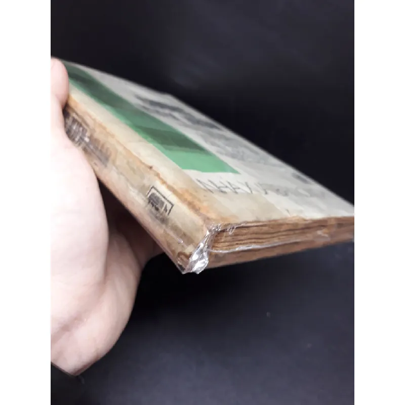 Gương Kiên Nhẫn mới 70% ố vàng nặng (có bọc) 1988 HCM0107 Nguyễn Hiễn Lê VĂN HỌC 692593