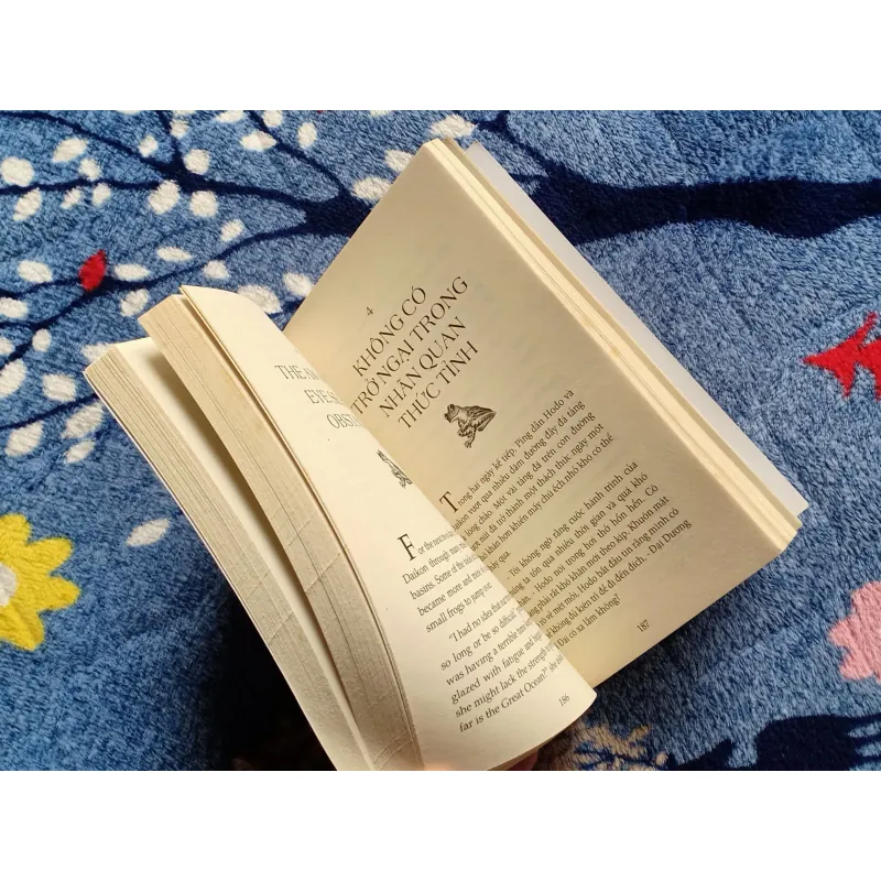 Ping - Vượt Ao Tù Ra BIỂN LỚN - Stuart Avery Gold 706925