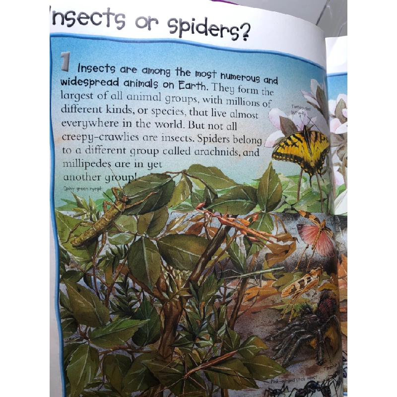 100 things you should know about Insects and Spiders mới 80% cong bìa nhẹ Miles Kelly HPB2607 NGOẠI VĂN 191300