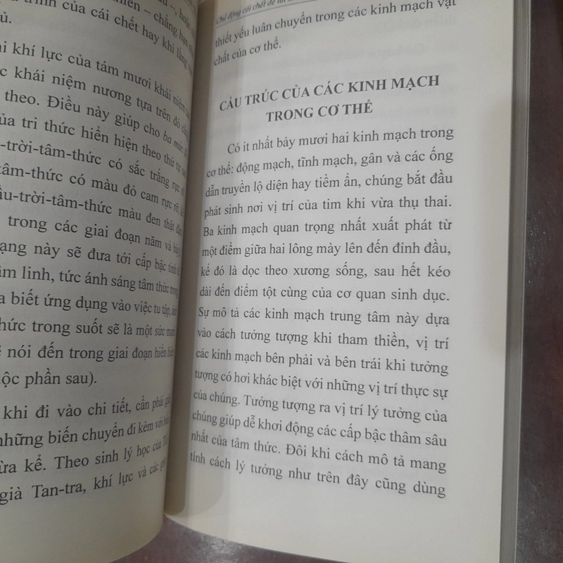 Đức Đạt Lai Lạt Ma - Chủ động cái chết ĐỂ TÁI SINH TRONG MỘT KIẾP SỐNG TỐT ĐẸP HƠN 550164