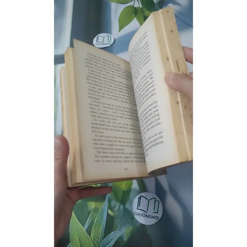 Triple Crown - Felix Francis 1033622