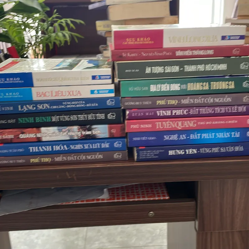 Việt Nam Các vùng Văn Hoá 16 Tỉnh Thành 721041