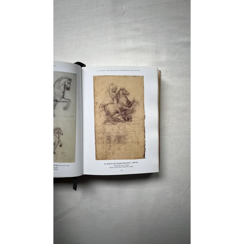 Leonardo Da Vinci 1028940