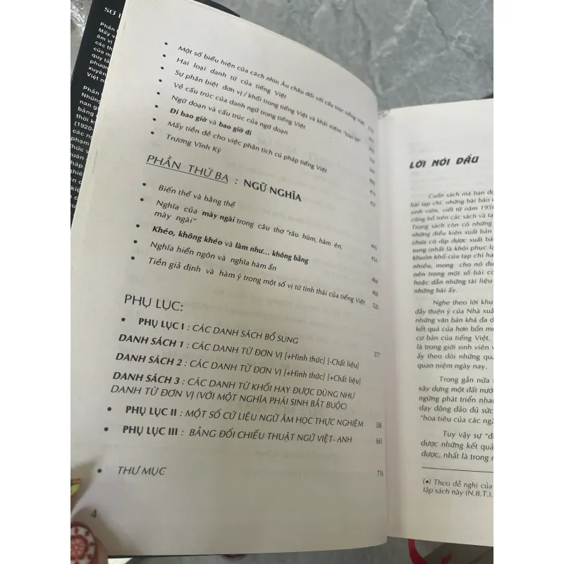 TIẾNG VIỆT - CAO XUÂN HẠO  1032022