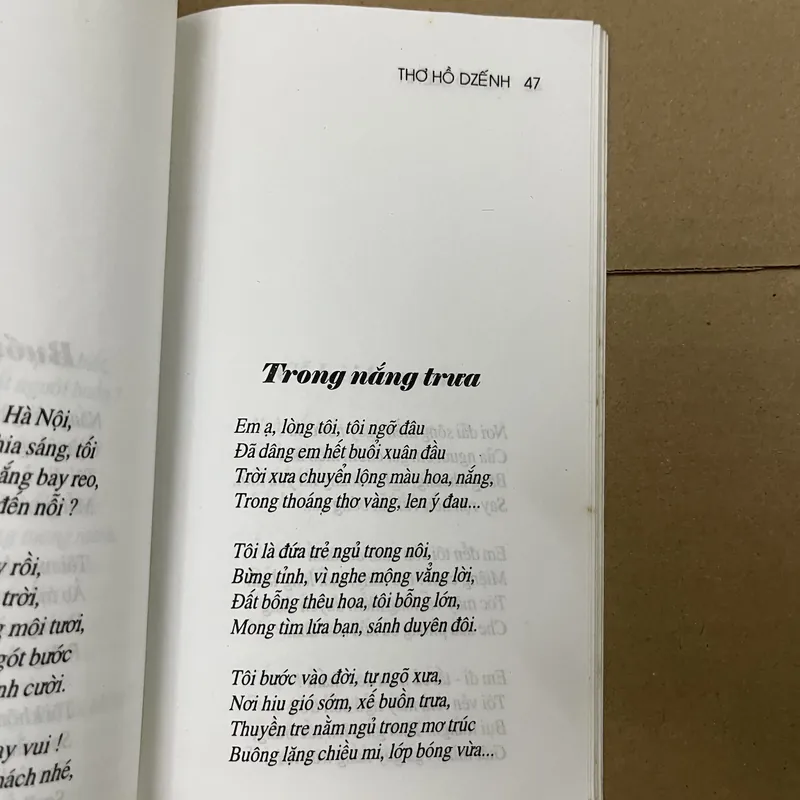 Hồ Dzenh    569202