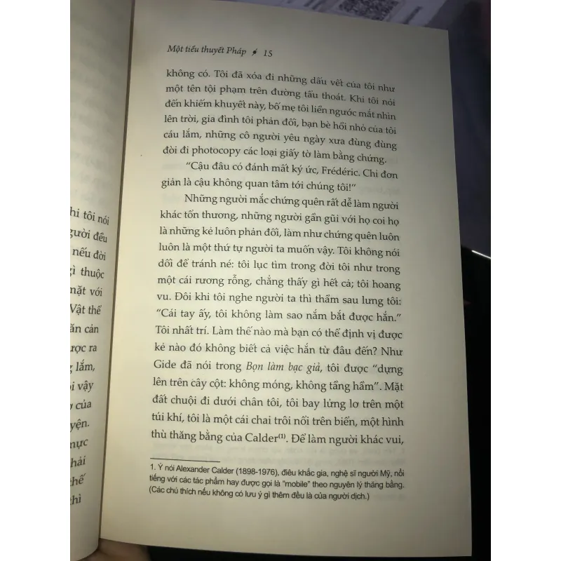 Một tiểu thuyết pháp - Frédéric Beigbeder  1021384