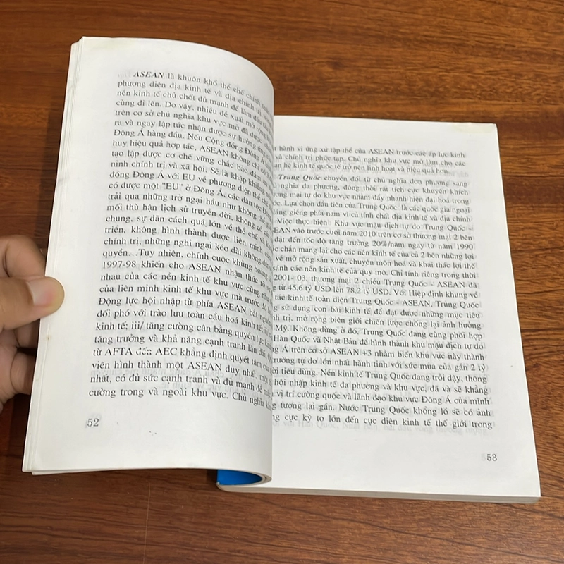 II Đối Sách Của Các Nước Đông Á Trước Việc Hình Thành Các Khu Vực Mậu Dịch Tự Do (FTA) 507805