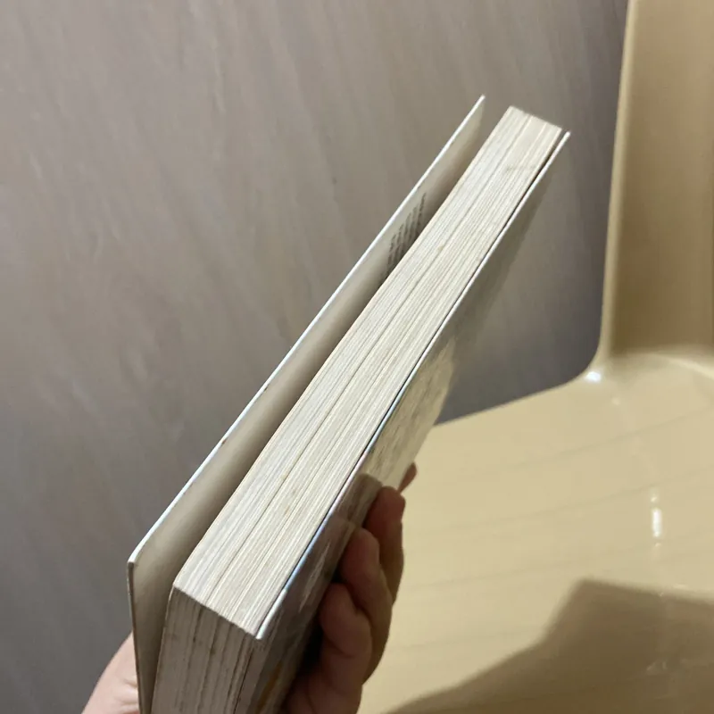 Giám đốc và em - Meggie Phạm 970356