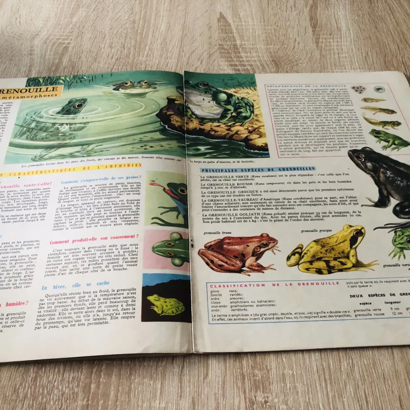 TẠP CHÍ TOUT L’UNIVERS – 1962 (9) 1016181