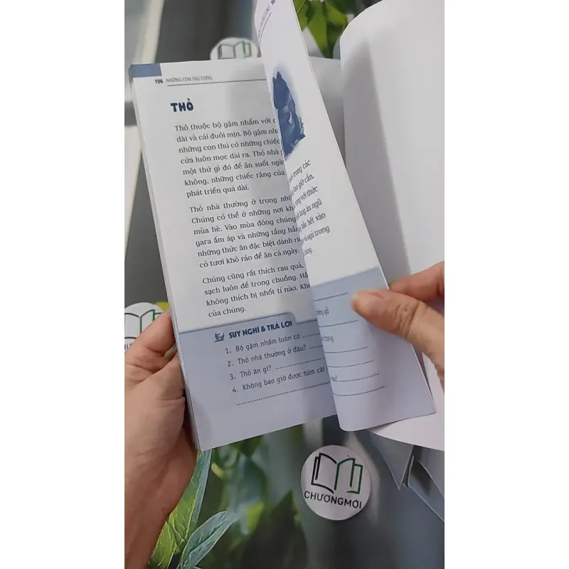 Động vật: Sống dưới nước, bò sát và côn trùng - An Khánh 1018832