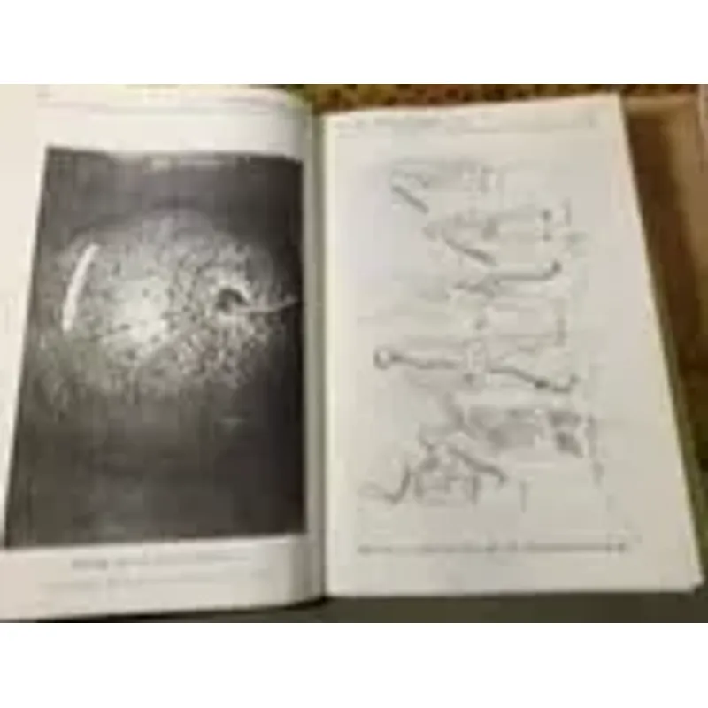 TÍCH HỢP VĂN HÓA ĐÔNG TÂY CHO MỘT CHIẾN LƯỢC GIÁO DỤC TƯƠNG LAI ( Xuất bản 1996 bìa cứng ) 683795