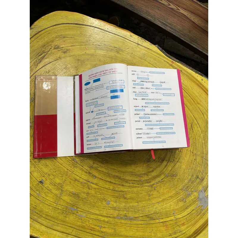 TỪ ĐIỂN ANH - VIỆT - VIỆT ANH- BAN BIÊN SOẠN CHUYÊN TỪ ĐIỂN NEW ERA 603684