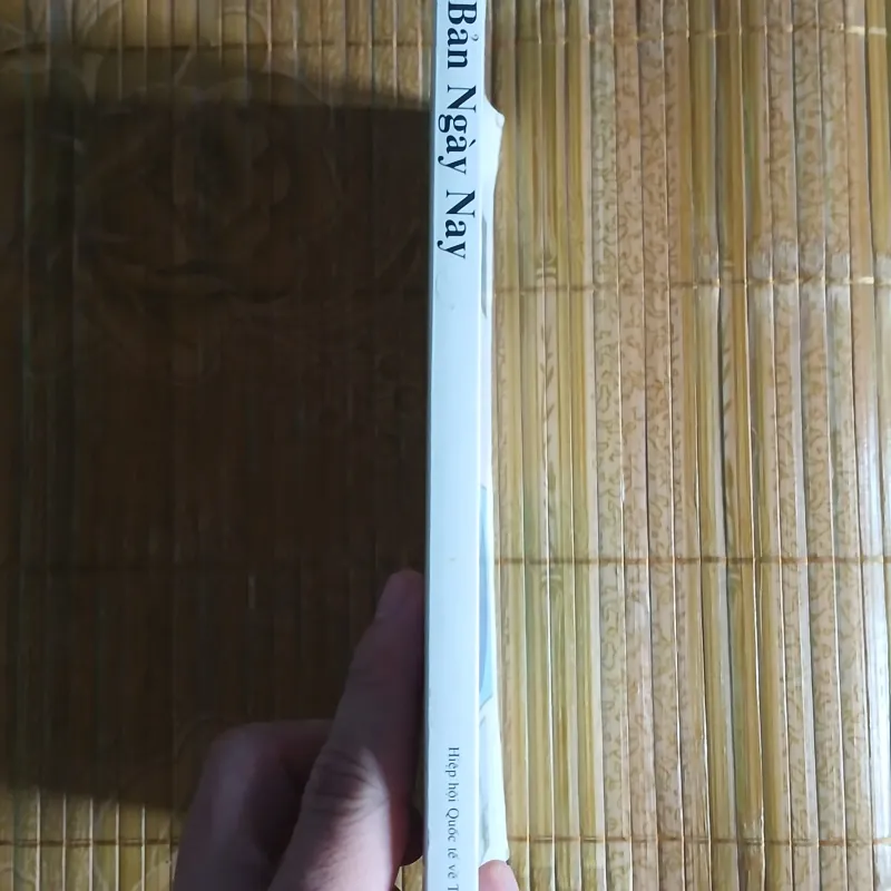 Nhật Bản Ngày Nay 1041398