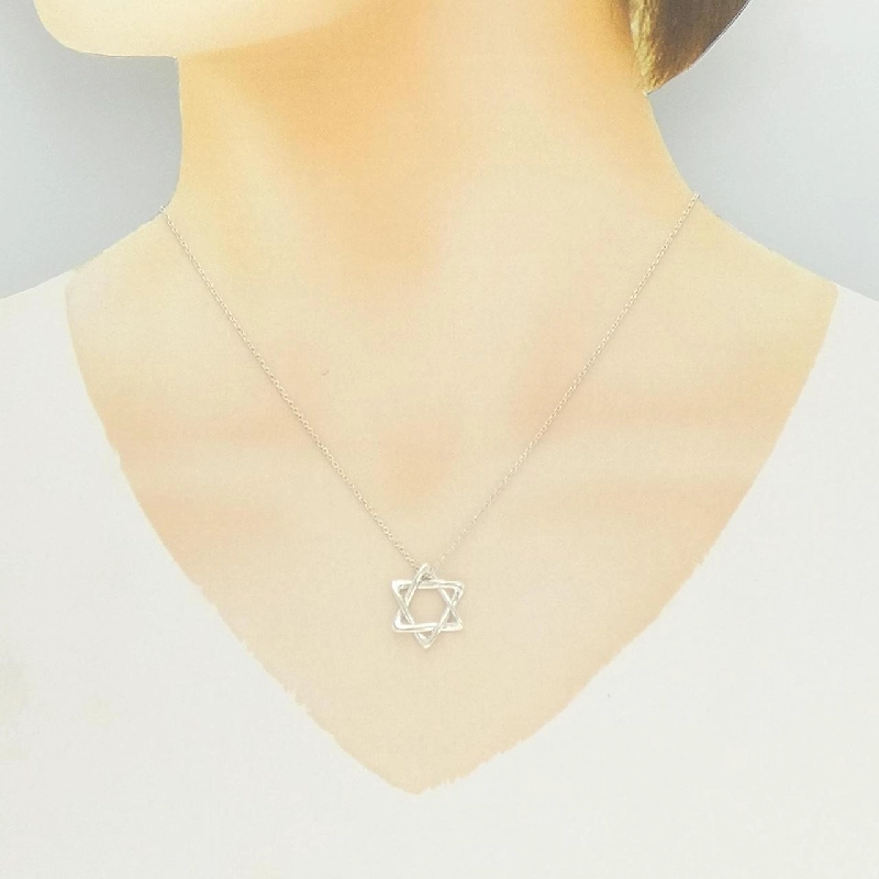 Dây chuyền Tiffany David - Hàng hiệu Authentic 841966