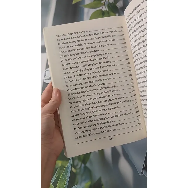Những Chuyện Niệm Phật Mắt Thấy Tai Nghe - Lâm Khán Trị 928503