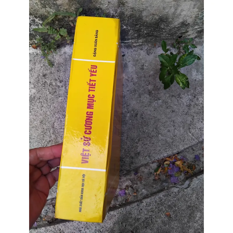 Việt sử cương mục tiết yếu của Đặng Xuân Bảng  1026057