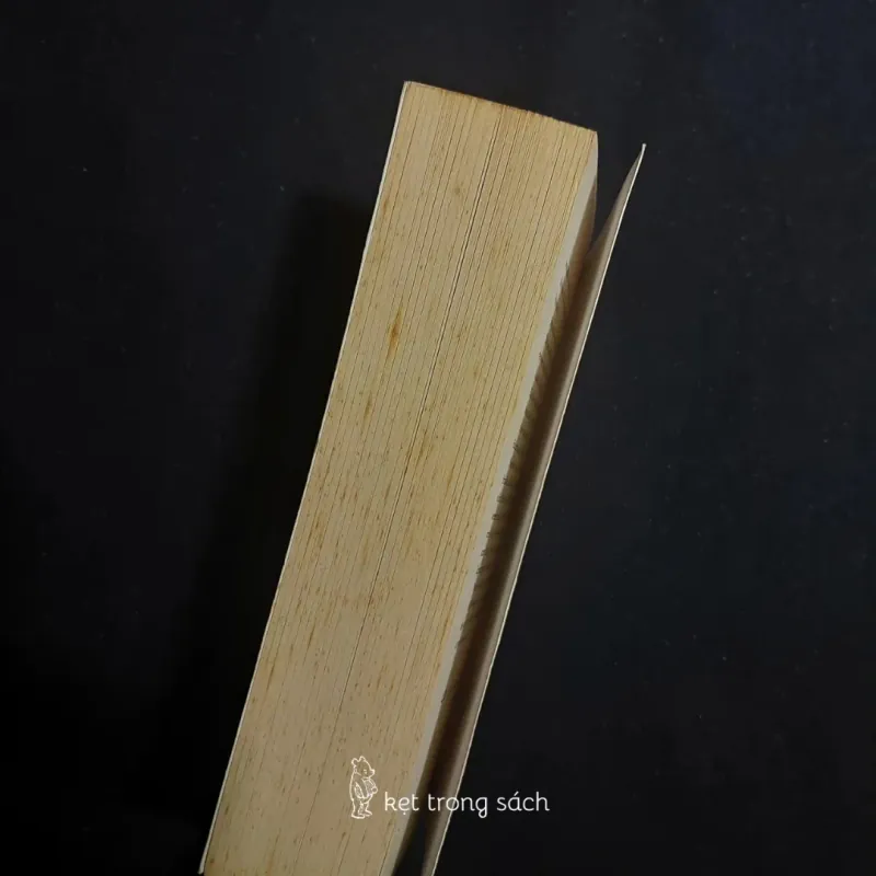 [Sách Cũ Ngoại Văn] The Book Thief - Markus Zusak 564465