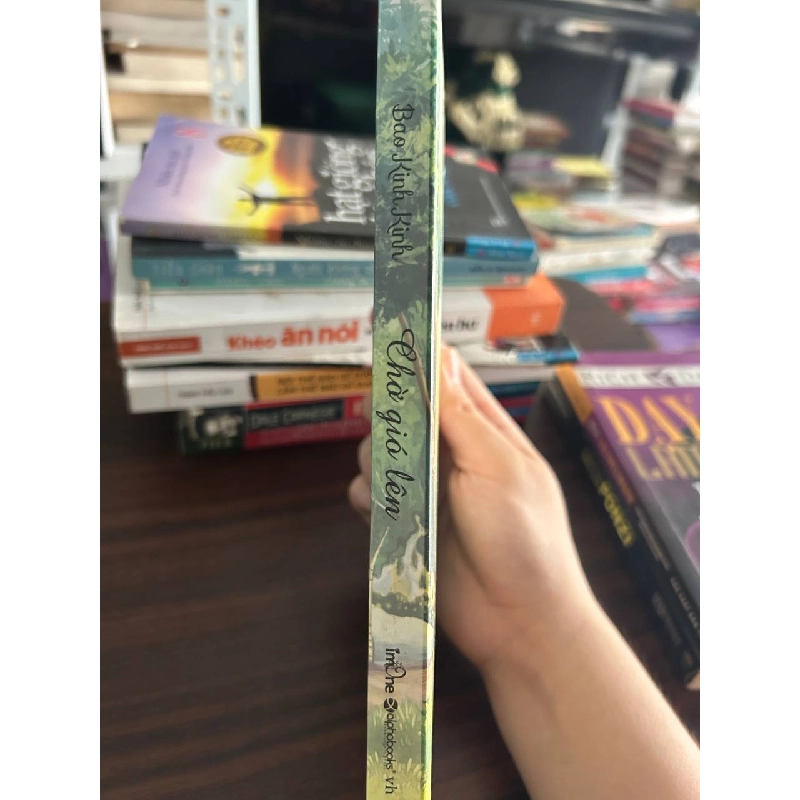 Chờ Gió Lên - Bao Kinh Kinh - Bao Kinh Kinh 1008558