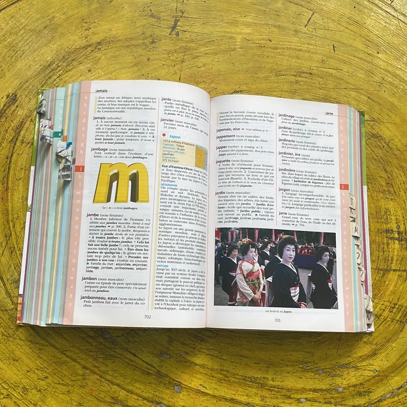 DICTIONNAIRE HACHETTE JUNIOR CE-CM 8-11 ANS 697410