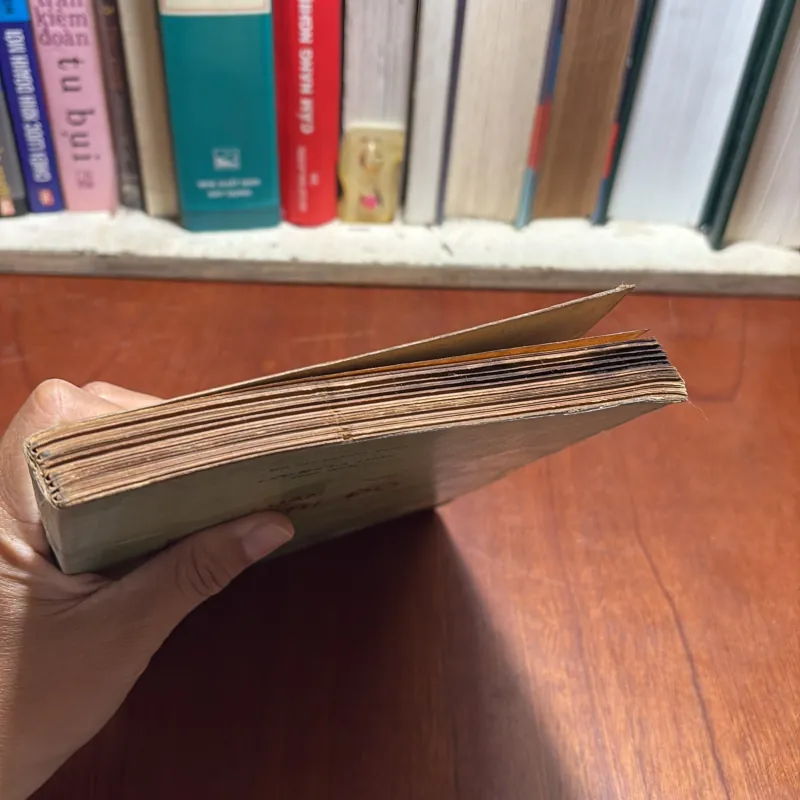 II Sách Phật Giáo: Luận Đại Trí Độ (Tập 1) - Bồ Tát Long Thọ 799859