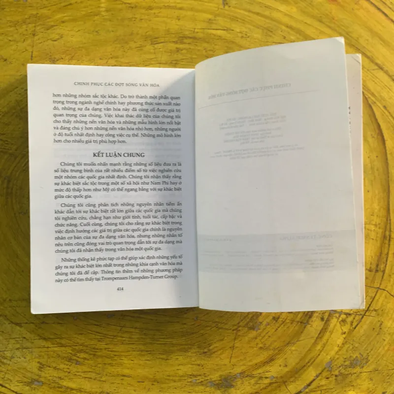  CHINH PHỤC CÁC ĐỢT SÓNG VĂN HOÁ - FON TROMPENAARS & CHARLES HAMPDEN-TURNER 991244