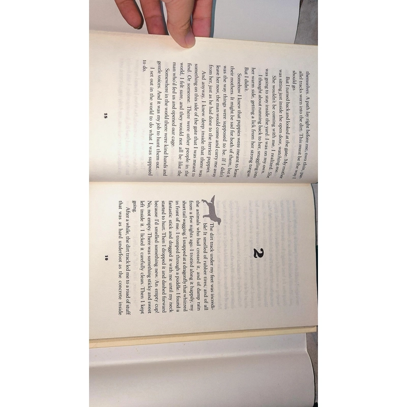 Sách chapters về cún - Bailey's story ( A dog's purpose novel) 470544