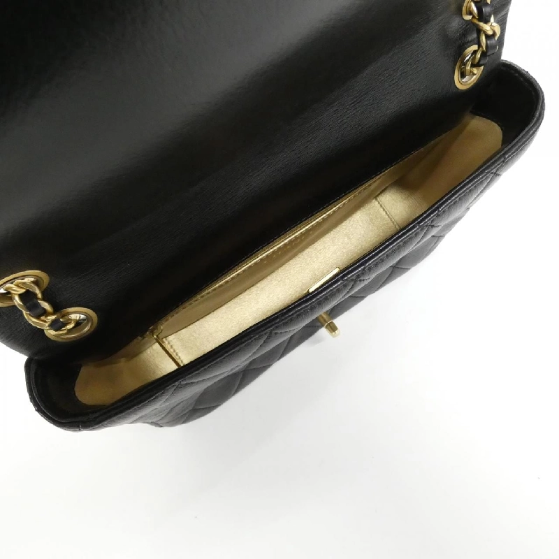 Túi xách vai Chanel AS3110 610666