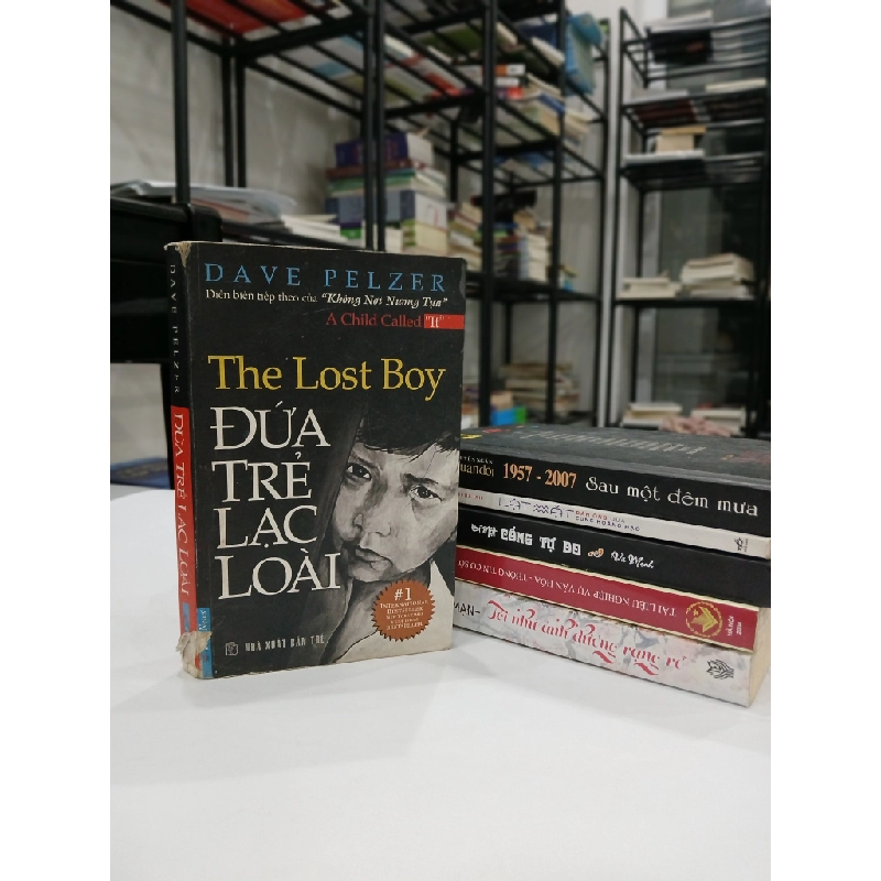 Đứa Trẻ Lạc Loài - Dave Pelzer 544514