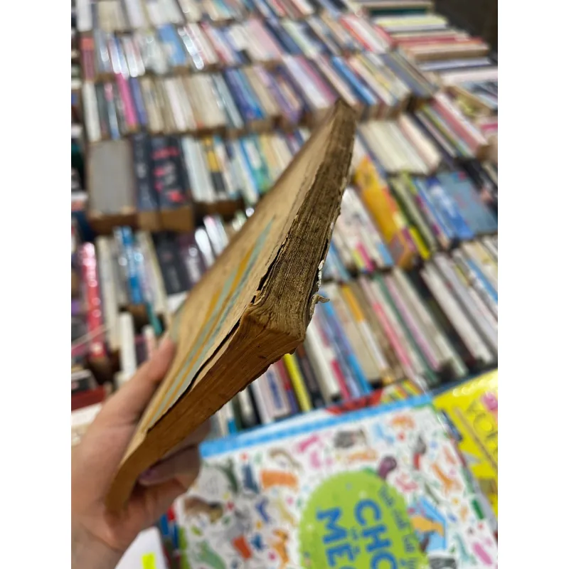 TRỊ LIỆU BẰNG DINH DƯỠNG - NGUYỄN VĂN THỤY 992924