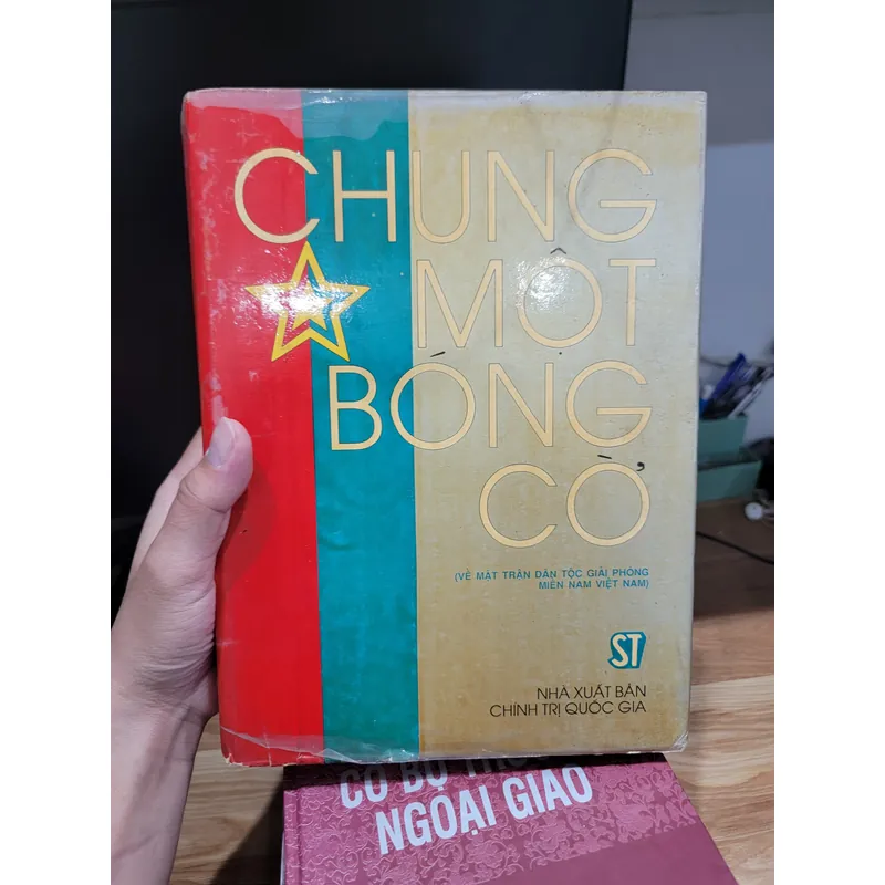 Chung một bóng cờ 596191