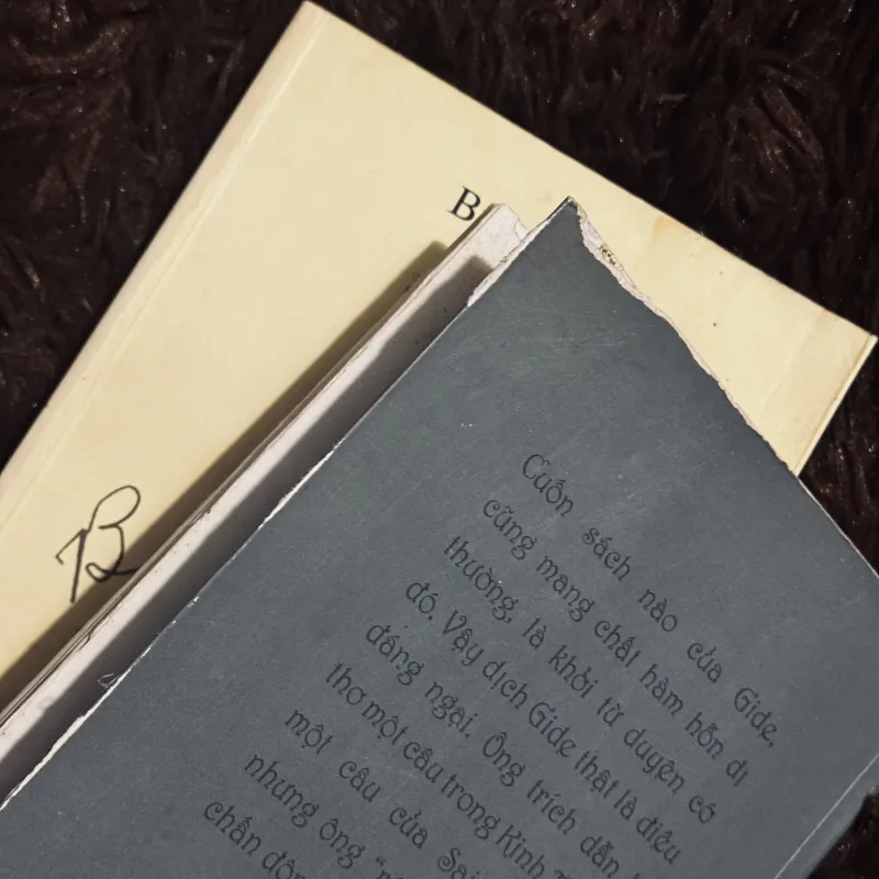 Tuyết băng + hoà âm  973523