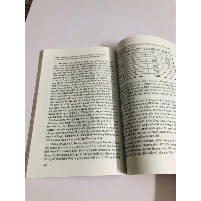 SỐT DENGUE & SỐT XUẤT DENGUE 604741